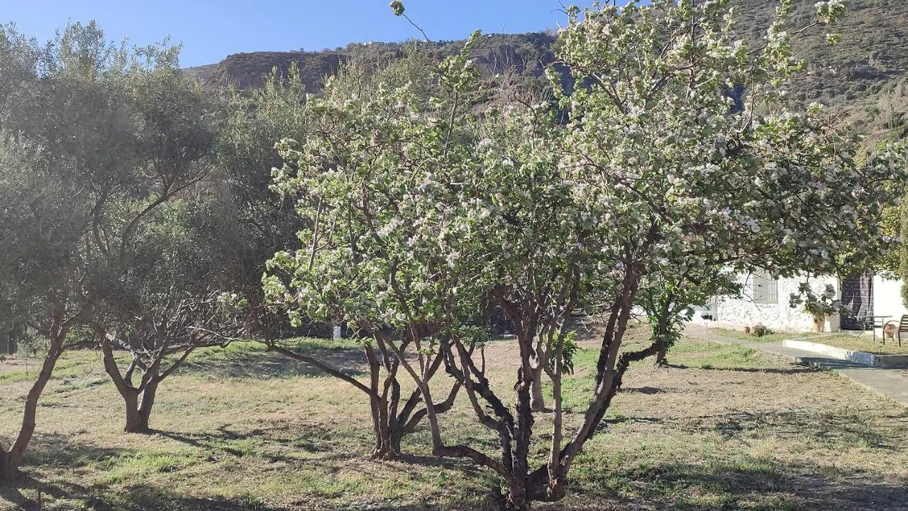Holiday home Cortijo Aguacha Villa Bayacas